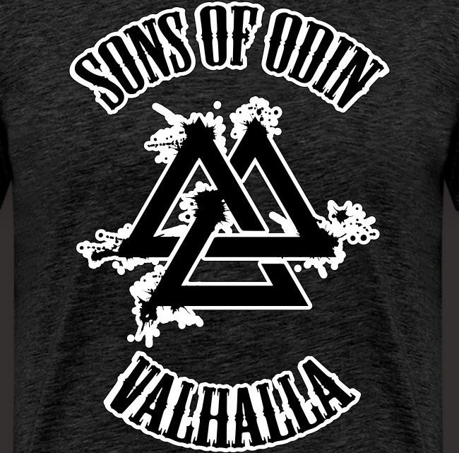 Sons of Odin Valhalla