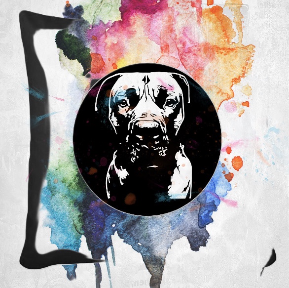 Boerboel Motiv neu im Shop